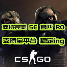 CSGO/CS2 全平台稳定视觉Al 支持完美 5E 官匹 RO