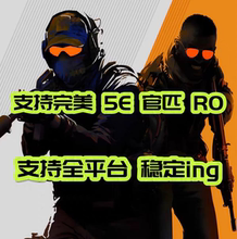 视觉Al cs2/csgo/稳定支持全平台,完美,5E,官匹！