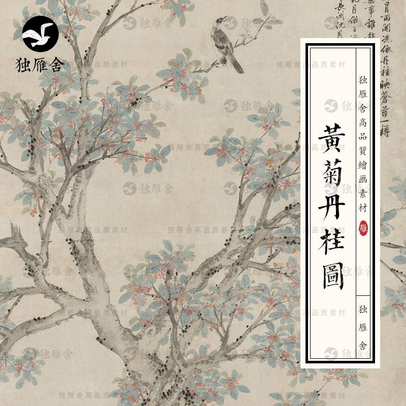明代黄菊丹桂图菊花桂树花鸟高清国画绘画电子版装饰图片设计素材