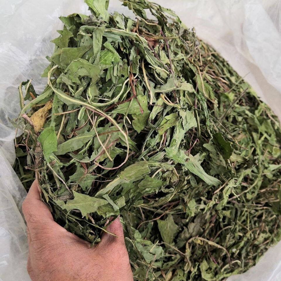 2025晒干蒲公英兔子荷兰猪保健牧草兔子粮食干草兔兔主粮干粮通用
