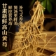 甘肃鲜挖新鲜高山黄芪煲汤炖肉泡酒良品五红汤补气养血下奶