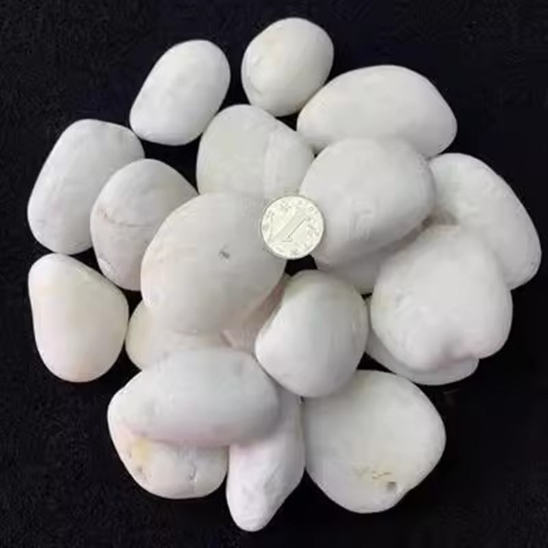 河南白色装饰造景鹅卵石鹅卵石白色白色鹅卵石石子阳台铺地花园抛