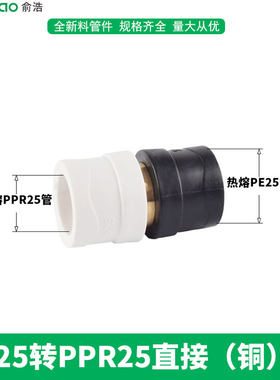 ppr转PE转换接头PB变换PERE转变等径异径弯头PEr水管配件20 25 32