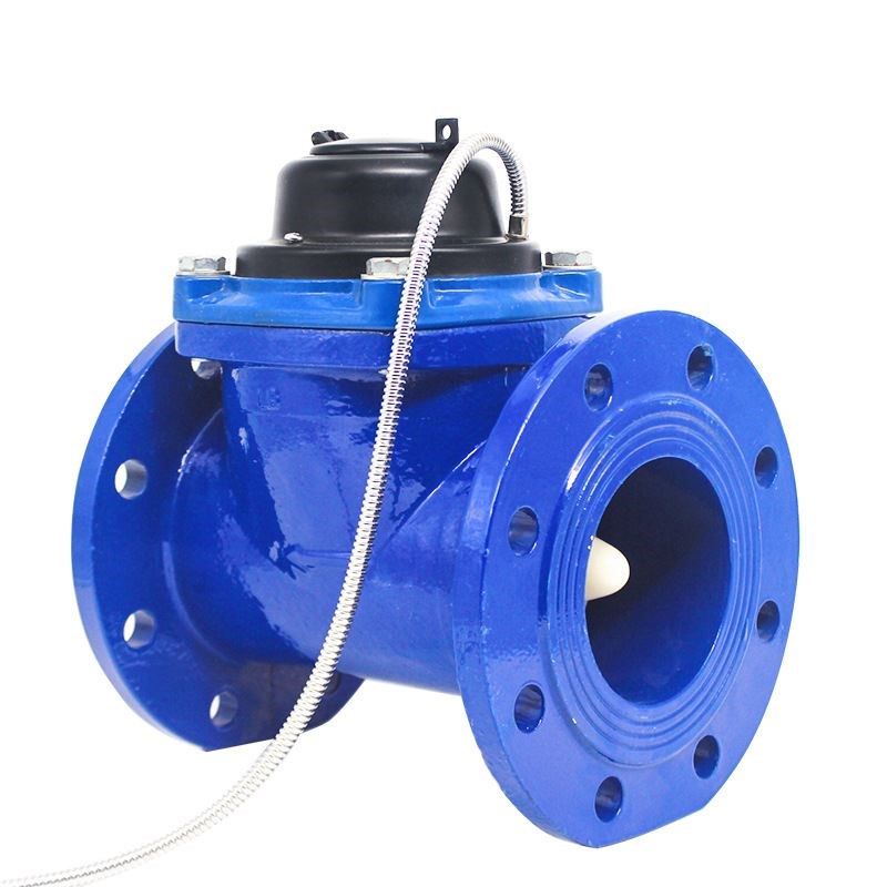 WPH水平螺翼可拆水表铸铁蓝壳有线脉冲灌溉铜封光电直读 DN40-200,工业油品/胶粘/化学/实验室用品,实验室漏斗,淘宝优惠券,粉丝福利购,淘宝优惠卷