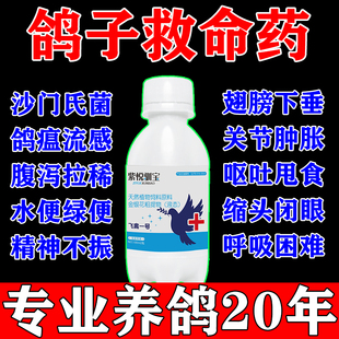 鸽子拉稀水绿便炸毛无精神新城疫专用药用品沙门氏菌药常见病大全
