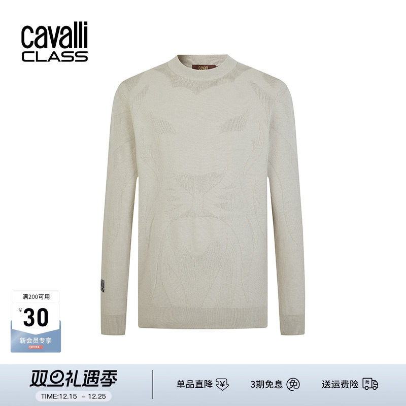 CavalliClass毛衣男休闲针织