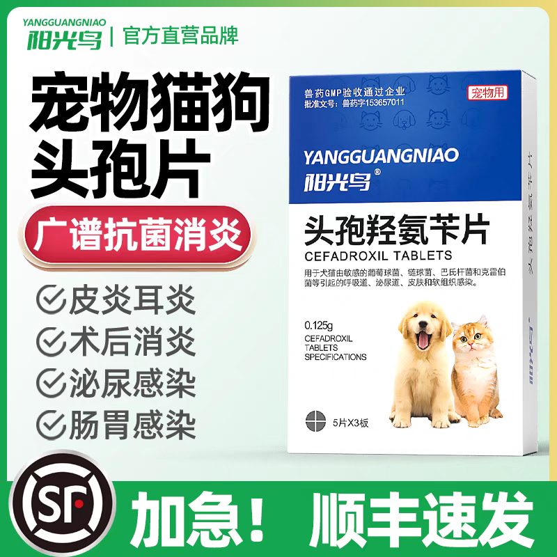 宠物猫咪狗狗头孢消炎药