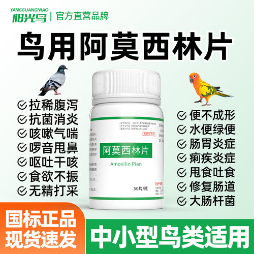 鸟用阿莫西林片鸟拉稀药肠炎咳嗽
