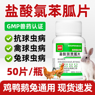 兔子专用体内球虫驱虫药兽用盐酸氯苯胍片鸡幼兔便血果冻便球虫病