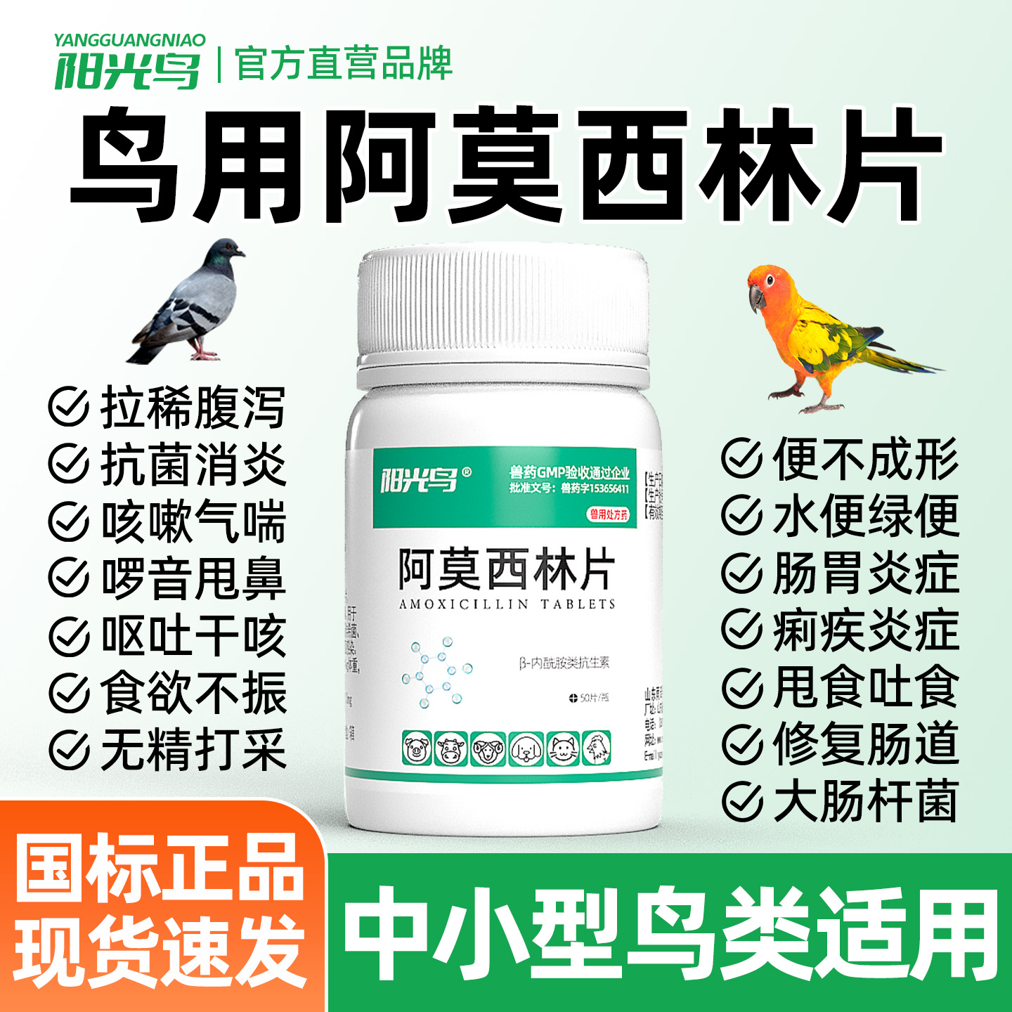 鸟用阿莫西林片鸟拉稀药肠炎咳嗽