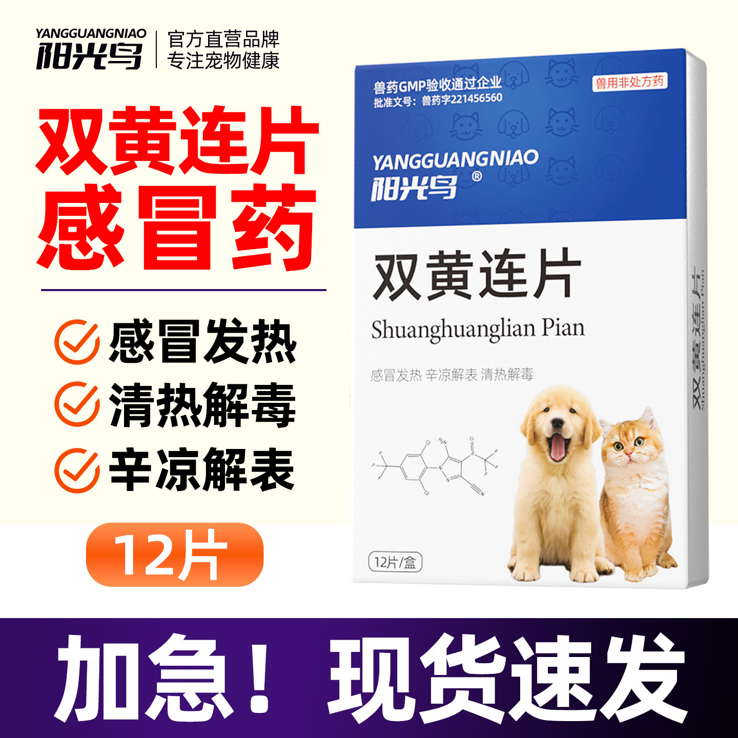 猫咪感冒药打喷嚏阳光鸟