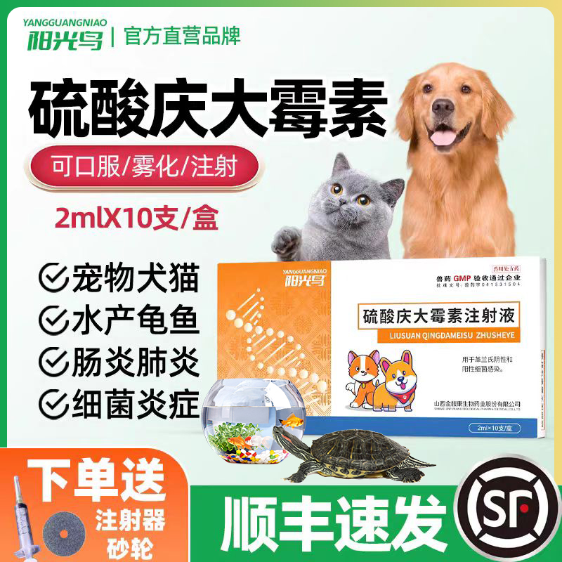 庆大霉素注射用液肠炎肺炎拉稀用