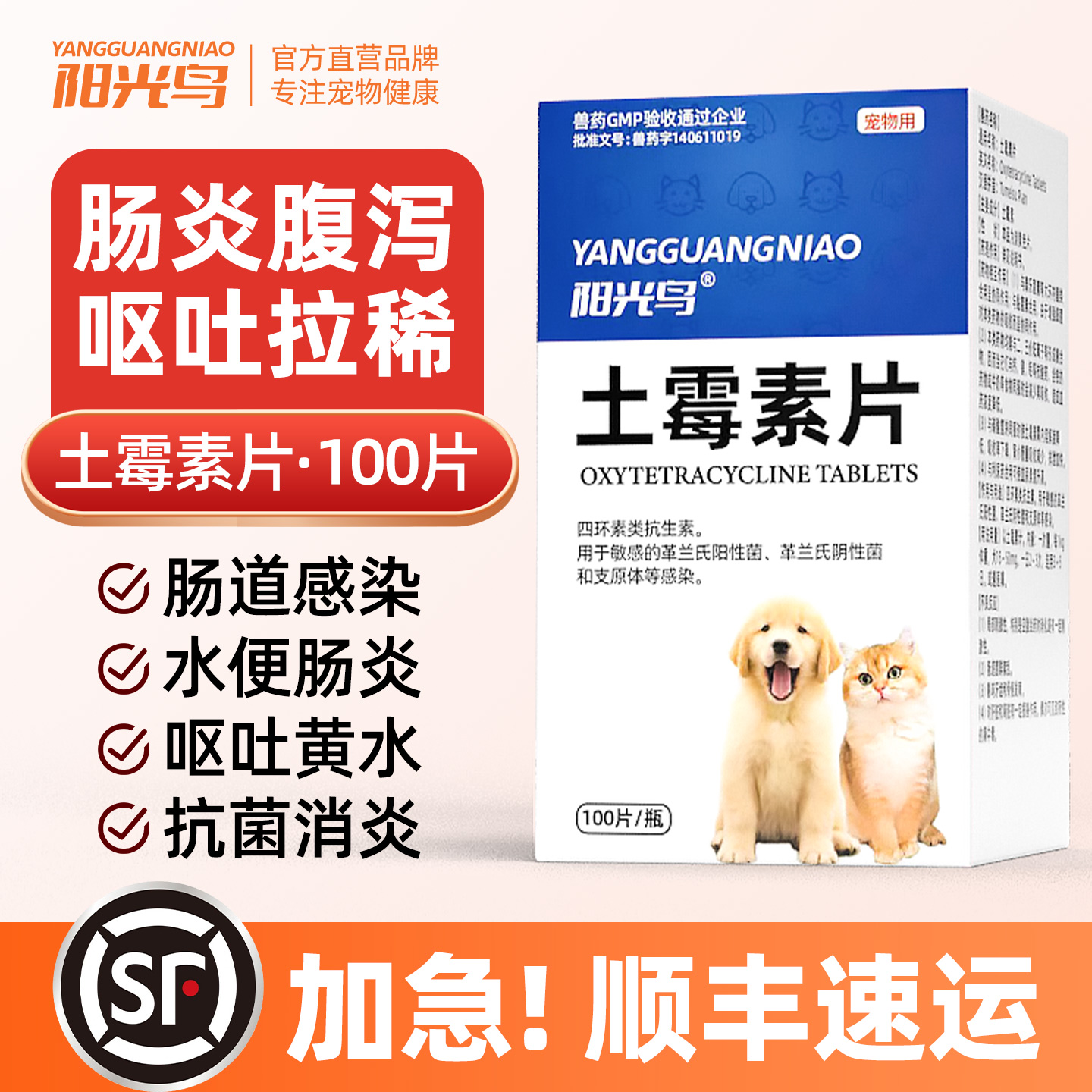 猫咪狗狗肠炎腹泻呕吐消炎药
