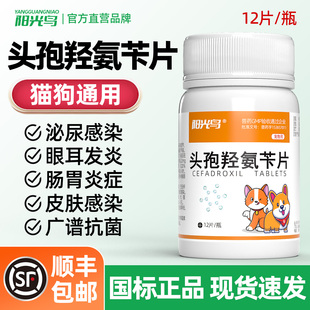 宠物头孢抗菌消炎药狗狗猫咪呕吐拉稀腹泻肠胃炎泌尿尿道炎皮炎药