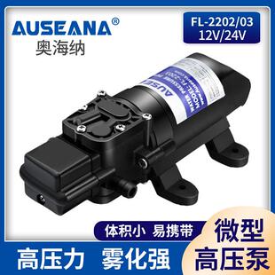 2202 12v24v直流喷雾器高压水泵农用微型电动隔膜泵小型抽水泵