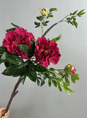 手感保湿牡丹花仿真花家居装饰中式花艺高级感牡丹芍药花婚庆道具