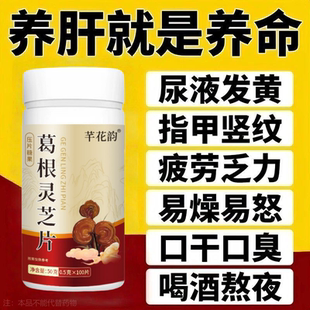 长期肝损伤】熬夜喝酒肝损伤口苦口臭肝火旺肝气郁结葛根灵芝片