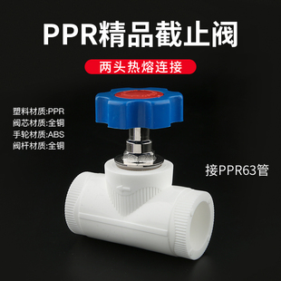 水阀开关旋转手柄阀门手轮方孔水阀开关总闸水闸阀门截止阀PPR