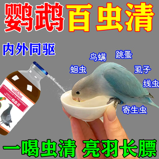 鹦鹉体内外驱虫专用玄风八哥鸟用除虫蛔球毛滴肠虫清虱螨净打虫药