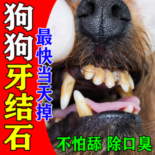 狗狗牙结石去除器溶解牙石速校吃宠物牙黄牙垢黑斑口臭清洁软化剂