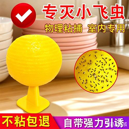 室内强力果蝇粘虫球超高性价比