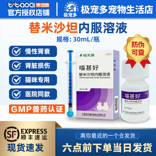 恒丰强替米沙坦内服溶液肾炎肾伤