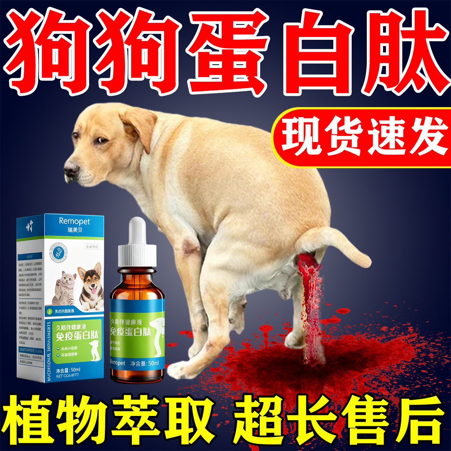 狗狗细特专用营养效小犬热单抗庆大霉素毒干扰素翻肠子免疫蛋白肽