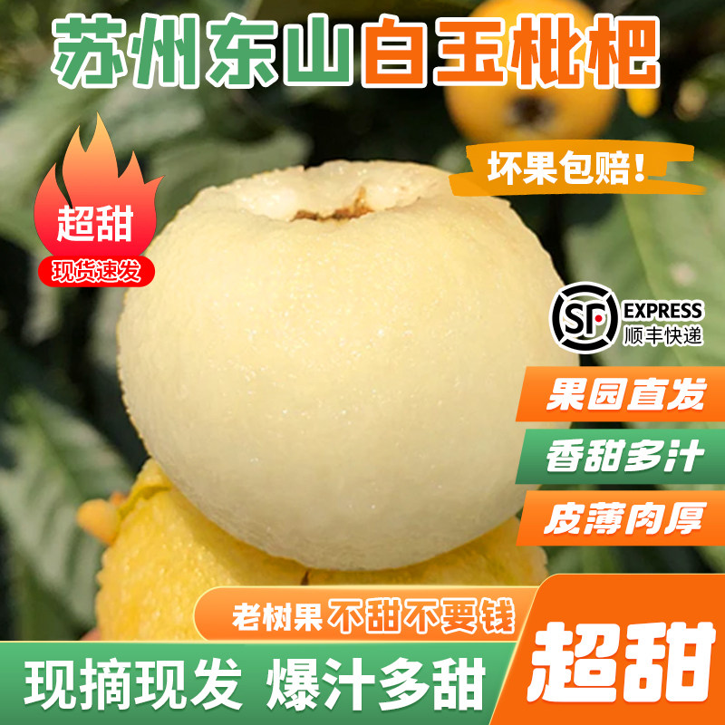 苏州东山白玉枇杷礼盒装顺丰包邮