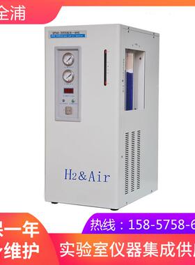 上海全浦QPHA-300G型氢空一体机