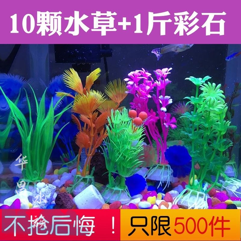 塑料仿真水草鱼缸植物套餐小型