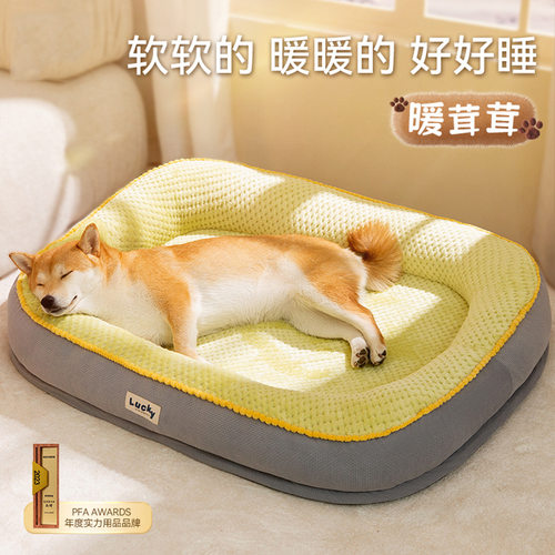秋冬季狗狗中大型犬lucky