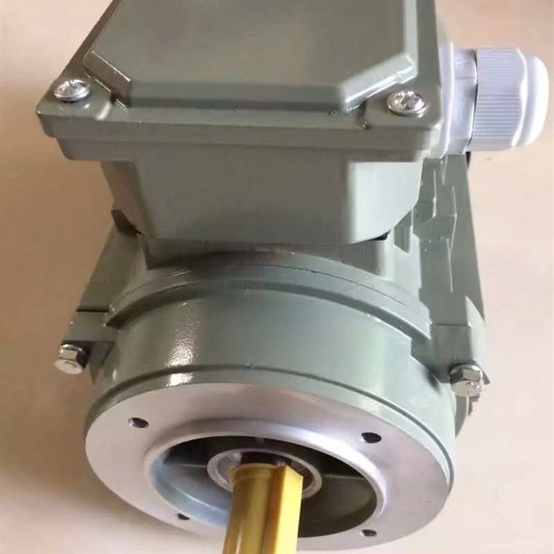 南通富自控海安精瑞l机电WPXDK蜗杆减速机电机剪板机减速机WPDS40