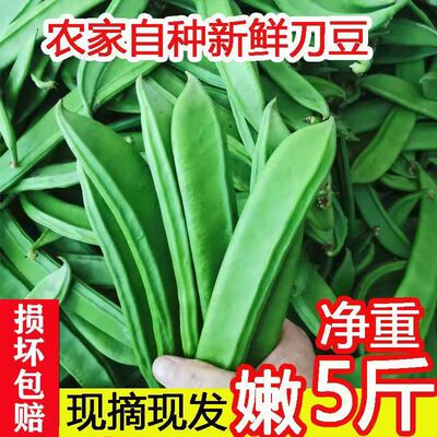 新鲜刀豆当季现摘扁豆虹豆当季大刀豆时令大虫豆芭豆脆口嫩整箱