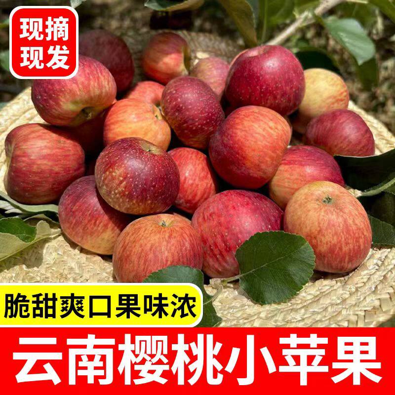 2026云南新鲜樱桃小苹果脆甜冰糖心迷你苹果红富士一整箱现摘