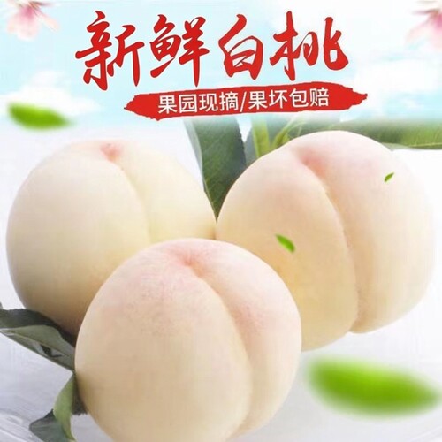白桃桃子超甜水蜜桃新鲜脆甜可口奶油大桃子应季时令水果五斤包邮