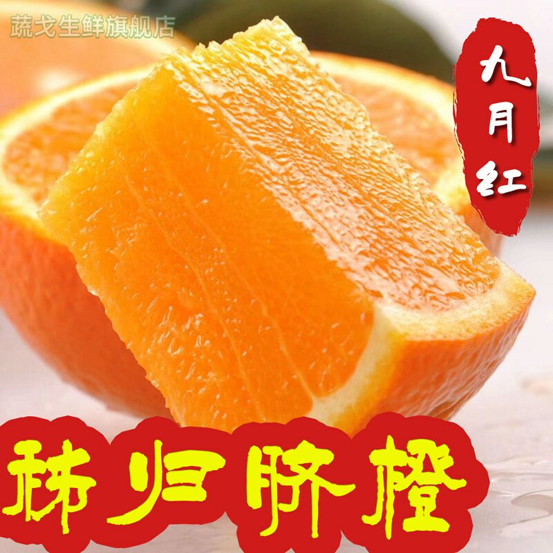 秭归脐橙九月红现摘新鲜橙子宜昌甜橙秋橙孕妇秋季水果当季整箱10图片