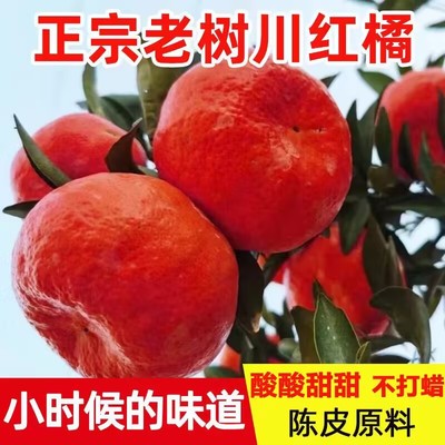 正宗万州古红桔子四川橘子川红橘新鲜水果大红袍重庆陈皮红皮桔子