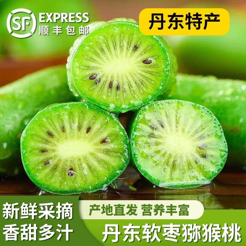 软枣子东北特产丹东奇异莓软枣小猕猴桃当季新鲜水果整箱包邮
