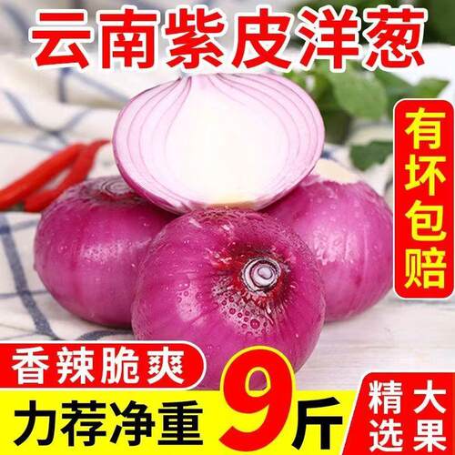 水果洋葱甜味生吃云南特