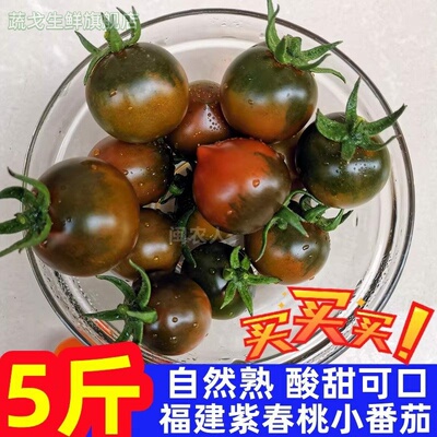 福建黑春桃农家种植新鲜紫春桃巧克力小西红柿迷彩番茄孕妇水果