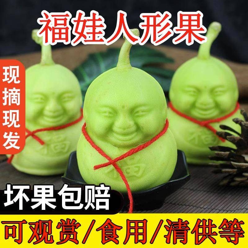 人参果新鲜水果罕见福娃人生果人形果人身果长寿果礼盒装包邮2个