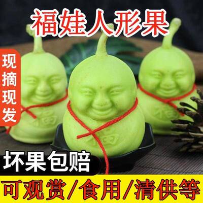 人参果新鲜水果罕见福娃人生果人形果人身果长寿果礼盒装包邮2个