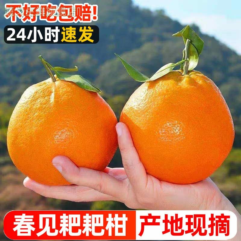 四川新鲜春见耙耙柑粑粑柑10斤丑柑桔橘子甜当季整箱新鲜水果包邮,水产肉类/新鲜蔬果/熟食,桔子,淘宝优惠券,粉丝福利购,淘宝优惠卷