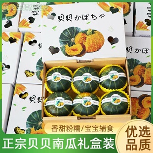 贝贝小南新鲜瓜板栗味5-6只礼盒装辅食香甜糯贝贝南瓜新鲜蔬菜包