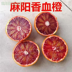 麻阳血橙新鲜低糖水果酸甜整箱手剥薄皮红心肉湖南塔罗科雪橙