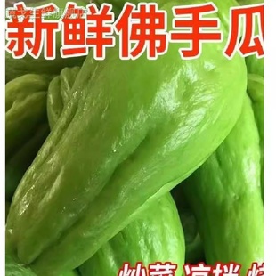 云南佛手瓜新鲜福寿瓜现摘农家佛瓜尖扶手瓜洋瓜蔬菜洋丝瓜四季样