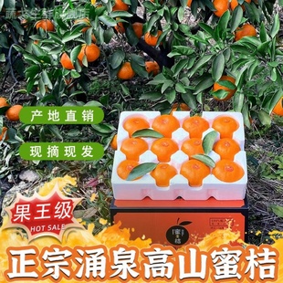 临海涌泉蜜桔10斤整箱当季水果新鲜桔子浙江台州黄岩蜜橘