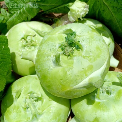 农家自种新鲜正宗无筋苤蓝大头菜芥菜头现摘现发基地直供坏果包赔
