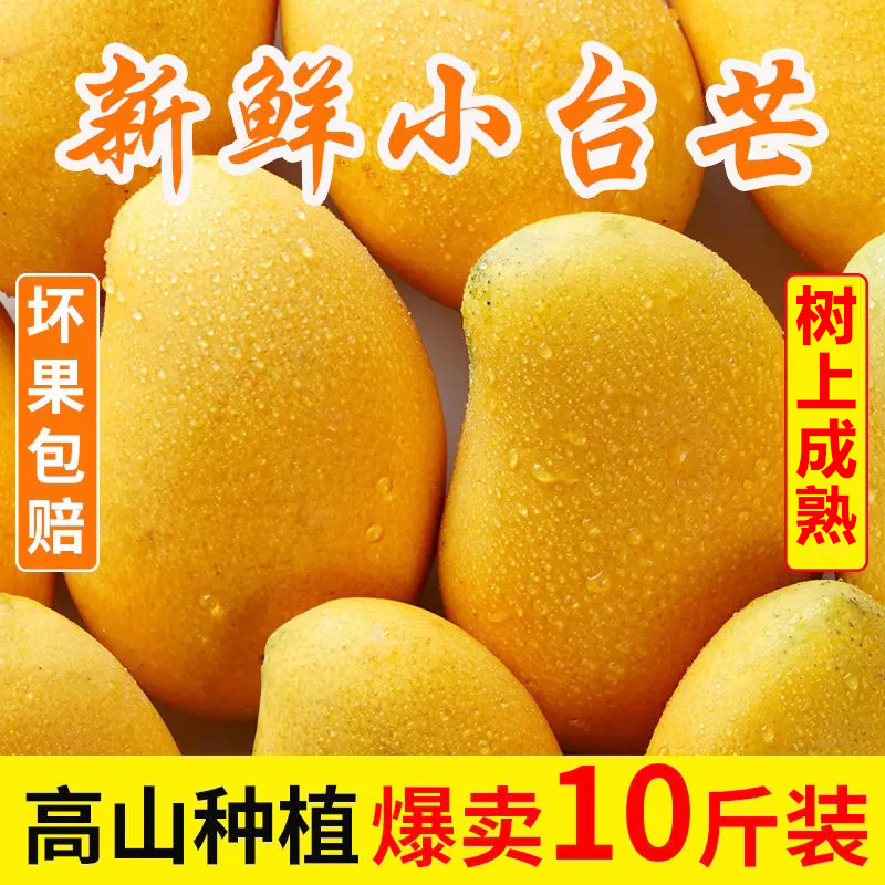 广西小台芒9斤芒果新鲜小台农芒