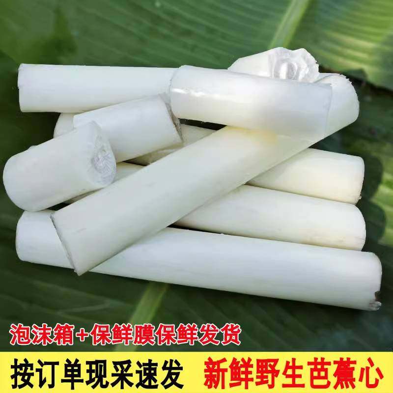 现摘现发天然生野芭蕉杆啦丝芭蕉心香蕉杆茎心蕉茎干心吃播2